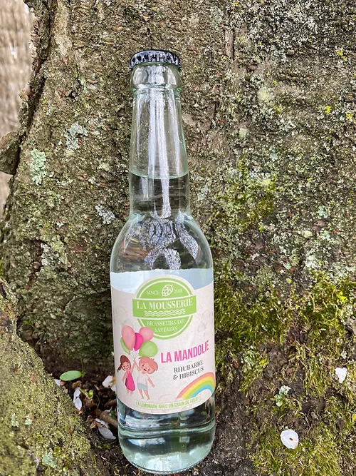 limonade rhubarbe hibiscus